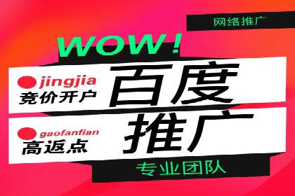 专业SEM代运营公司案例分析